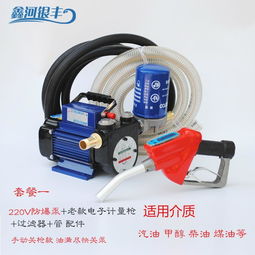 電動(dòng)抽油泵12v24v220v汽油柴油加油泵車(chē)載防爆輸油泵手提式抽油機(jī)