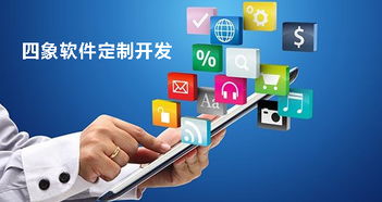 成都軟件開發(fā)公司進(jìn)行軟件定制開發(fā)的優(yōu)勢(shì)與缺點(diǎn)